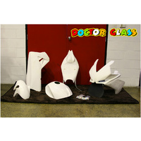 Doctor Glass Fairing Kit - Aprilia RSV4 09-14